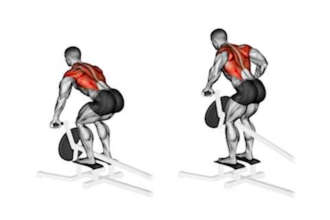 Bend Over Rows At T-bar