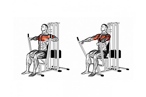 Machine Based Bench Press