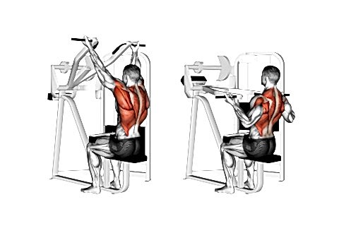 Pull Downs On A Cable Chest Workout