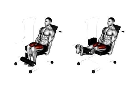 Quads Knee Extension Machine