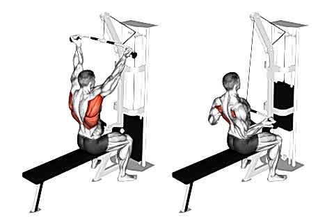 Reverse Grip Lat Pulldown