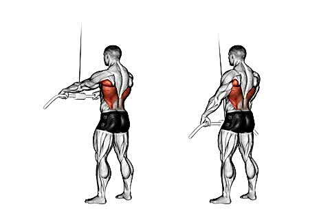 Reverse Tricep Pull-Downs
