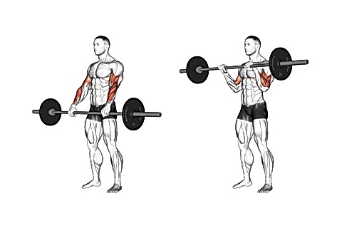 Standing Reverse Bar Curls